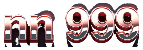nn999 logo